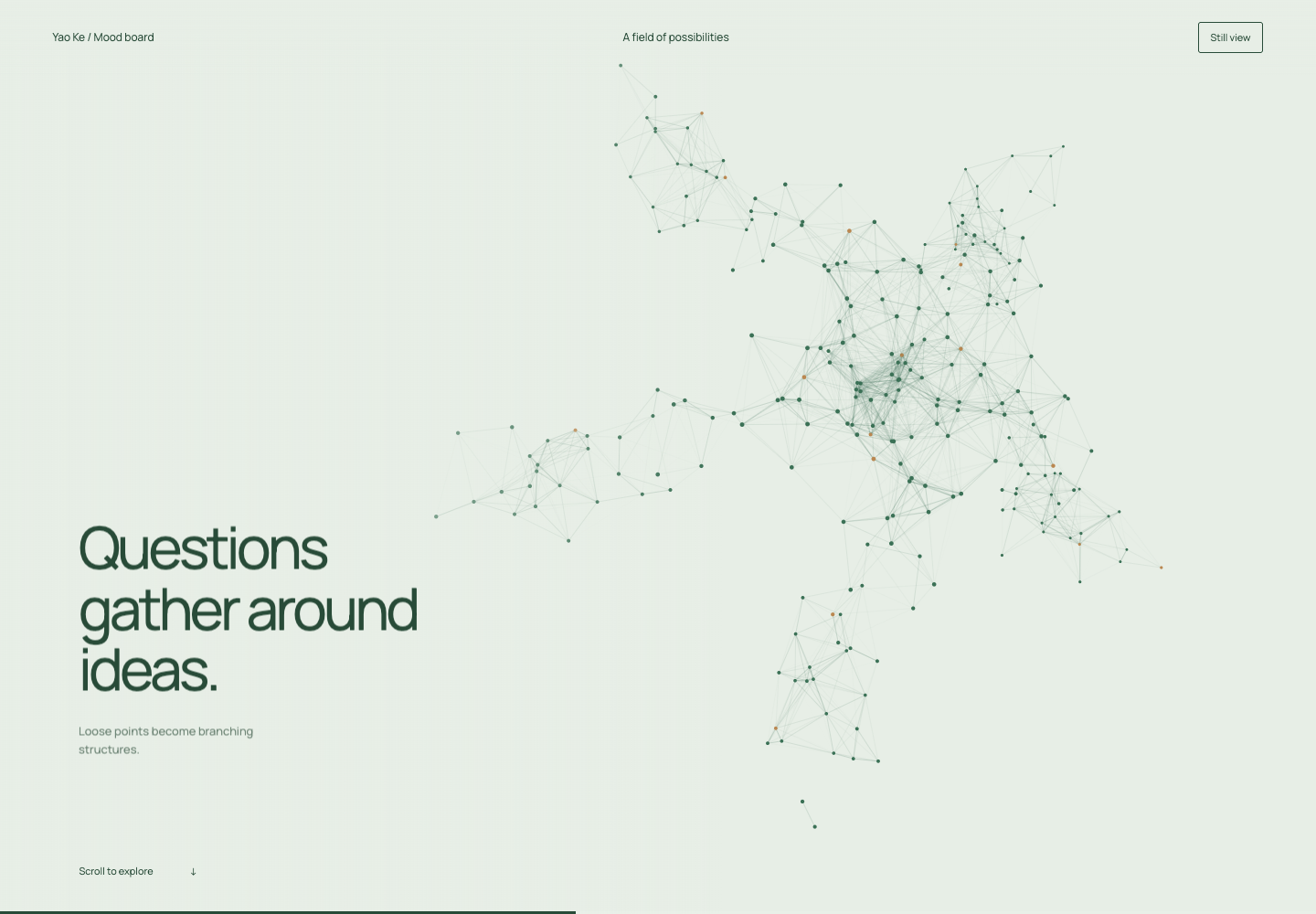 A field of possibilities visual preview